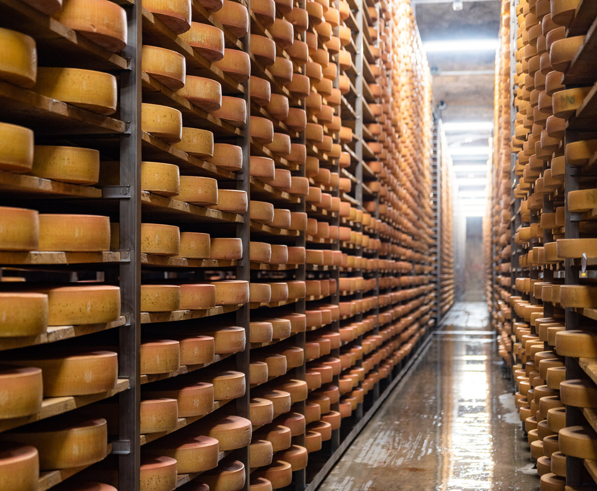 Silence and sustenance blog 2