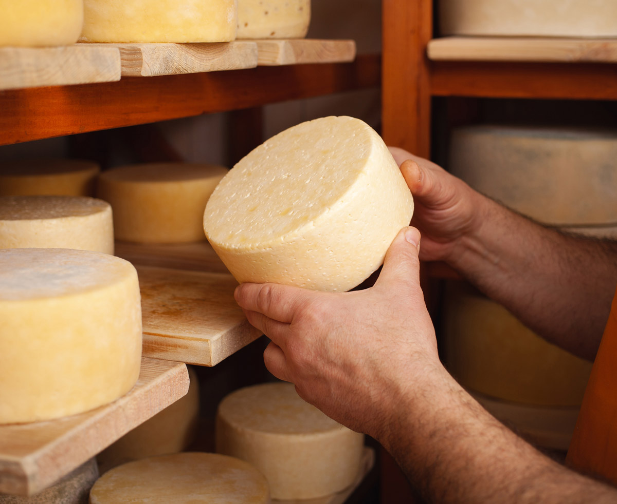 Silence and sustenance blog image 1